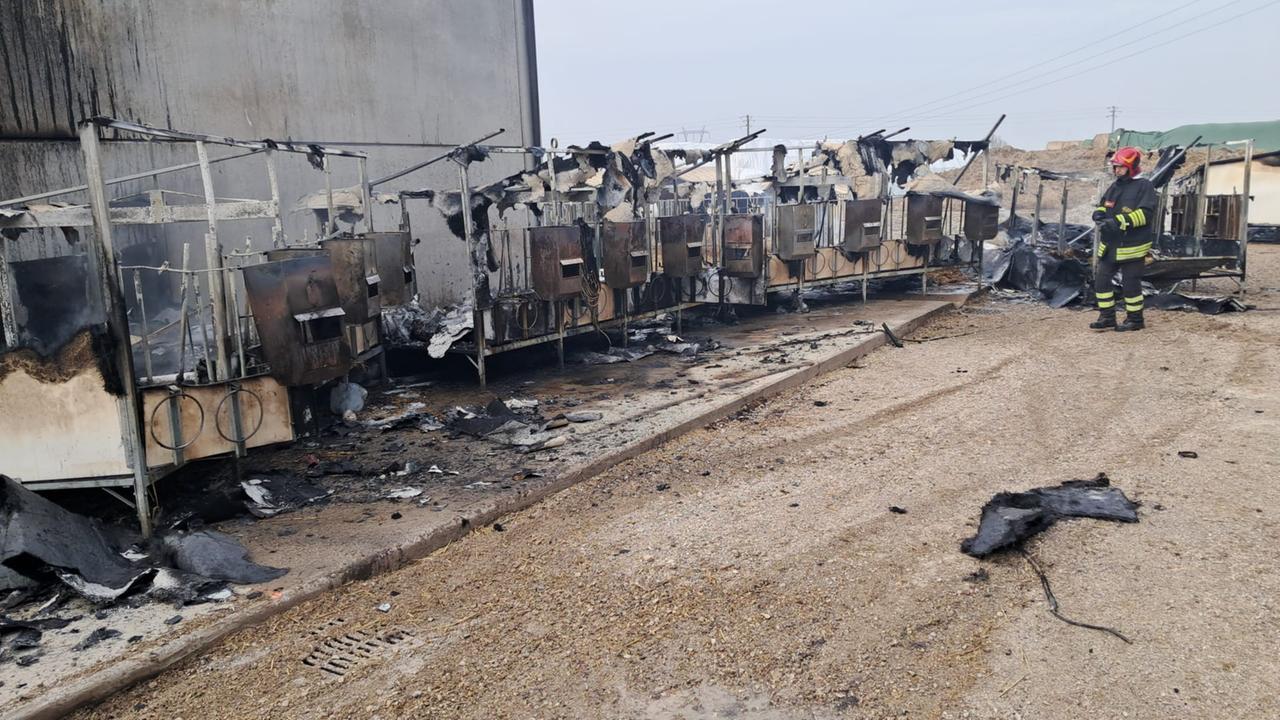 Le gabbie andate a fuoco