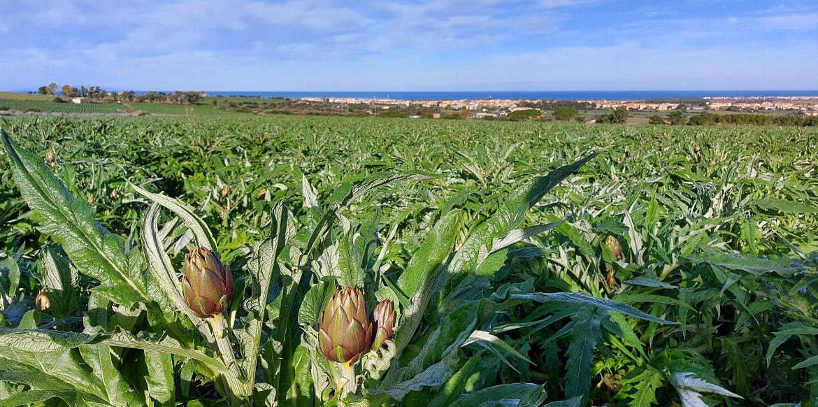 Consorzio di Bonifica, vince la lista Coldiretti-Confagricoltura uniti