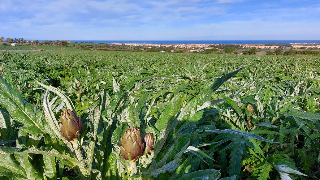 Consorzio di Bonifica, vince la lista Coldiretti-Confagricoltura uniti