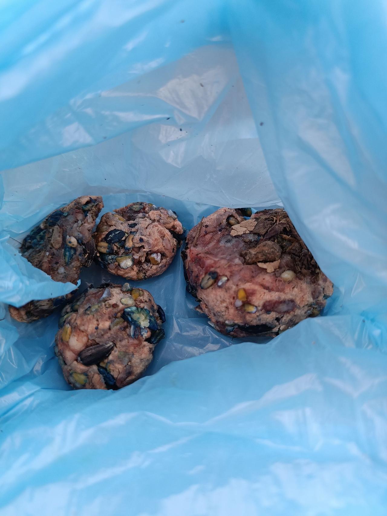 Allarme polpette avvelenate lungo la pedonale di Cadelbosco Sopra