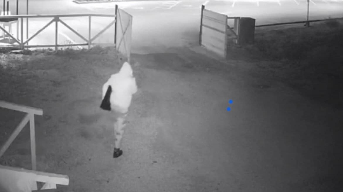 Il ladro spacca la vetrina, l’appello del ristoratore: «Restituiscimi i ricordi personali»