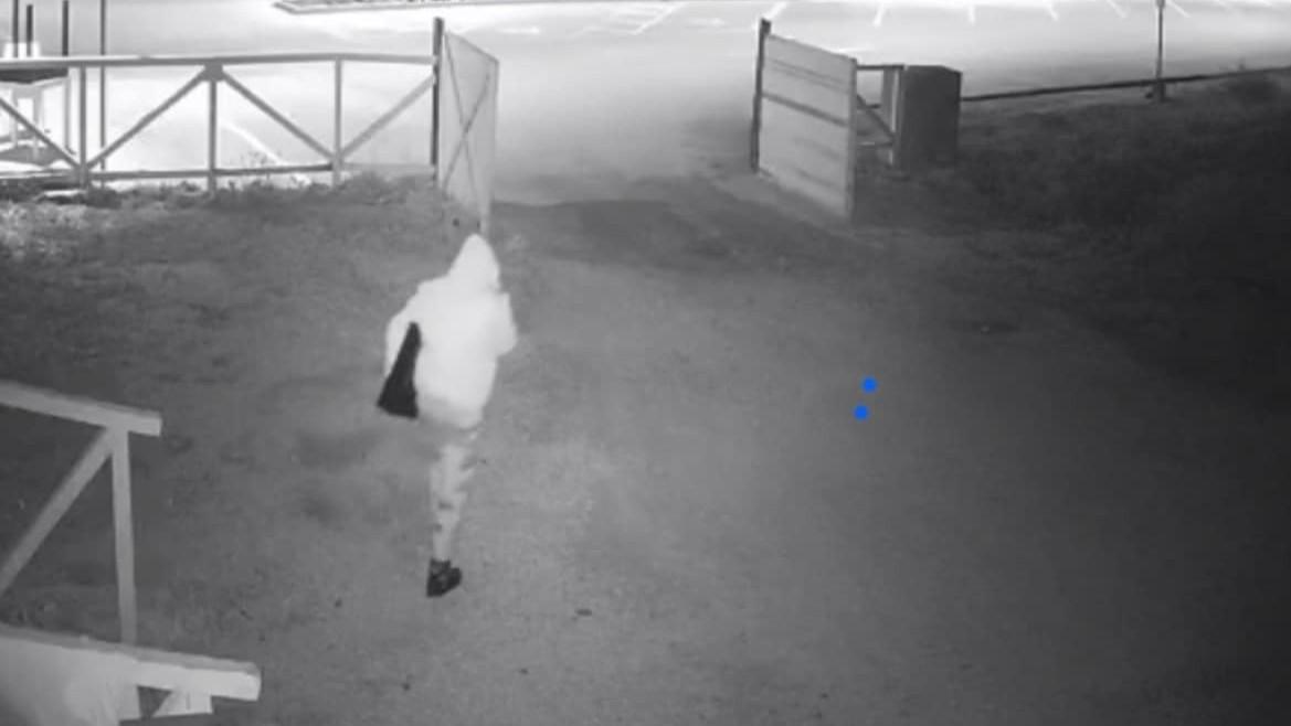 Il ladro spacca la vetrina, l’appello del ristoratore: «Restituiscimi i ricordi personali»