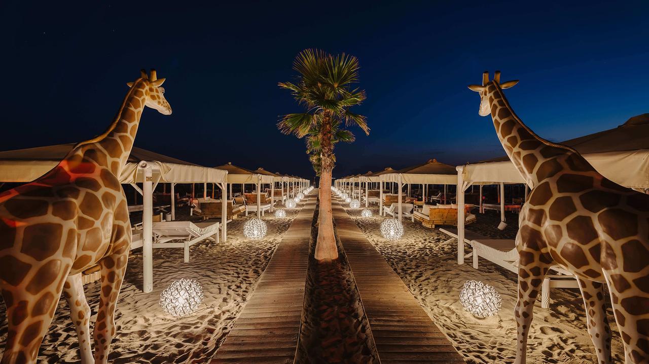 
	Le giraffe storico simbolo del Twiga

