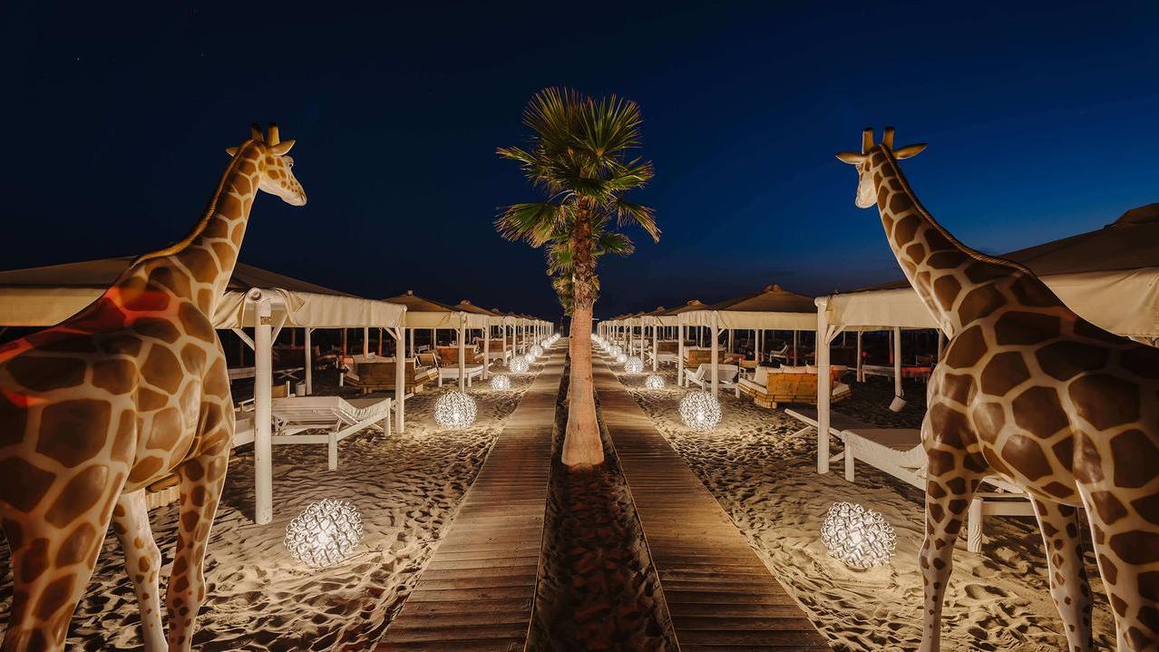 Le giraffe storico simbolo del Twiga