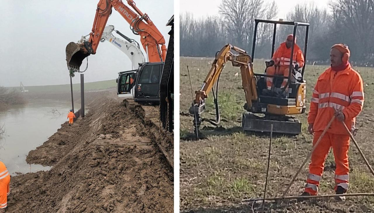 
	La ripiantumazione accanto al Secchia

