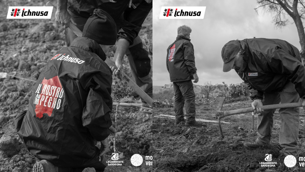 Sardegna ferita dagli incendi, in tre anni piantati 10mila alberi