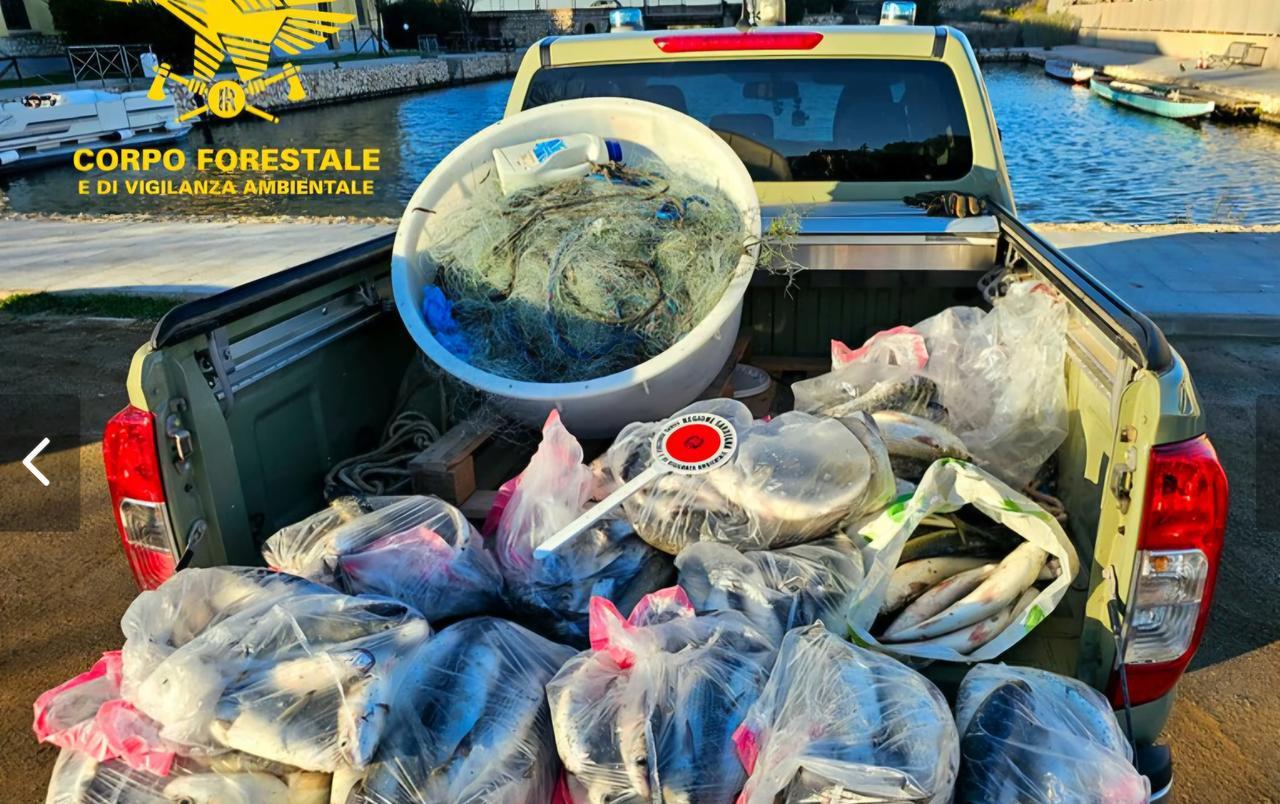 Cento metri di rete abusiva nel parco: sequestrati 120 chili di pesce pescato illegalmente