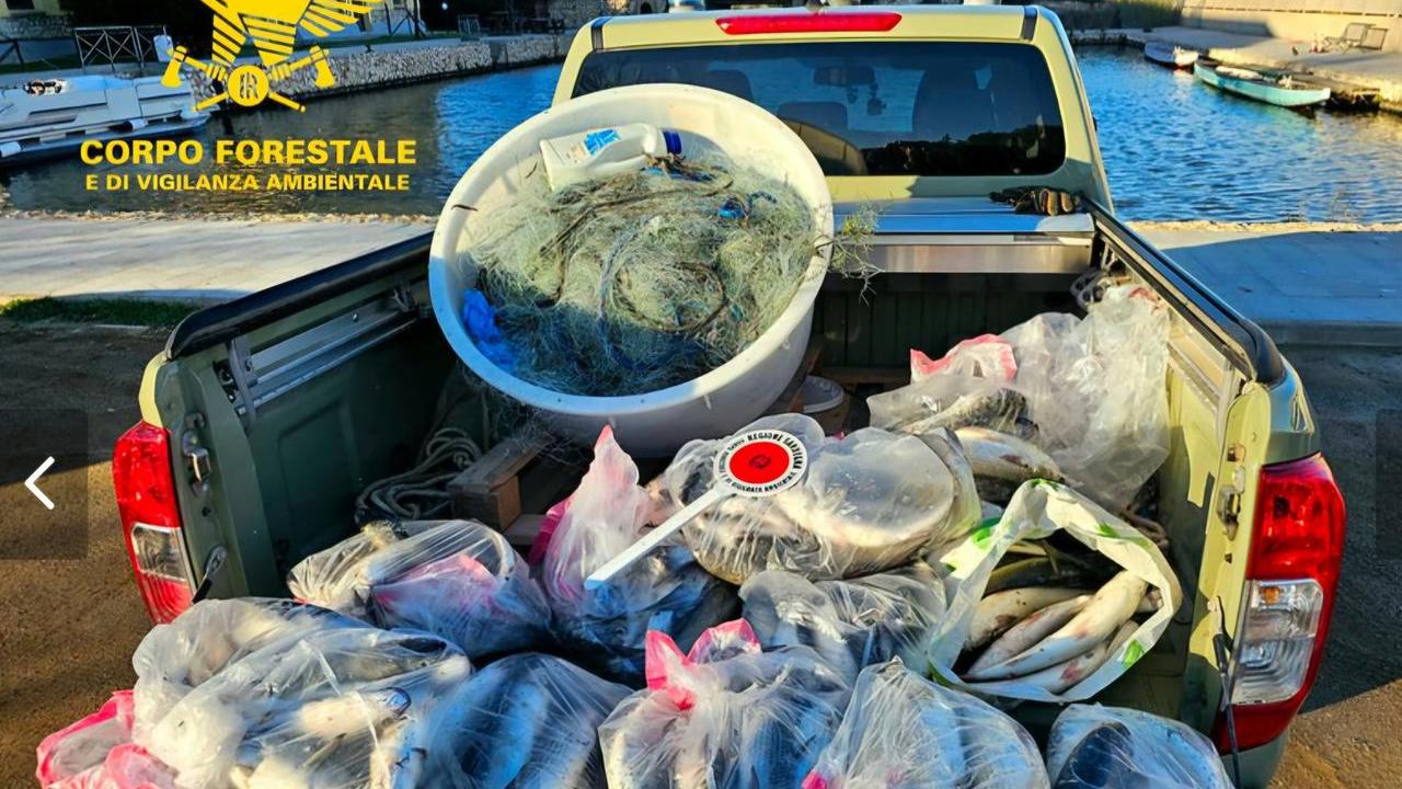 Cento metri di rete abusiva nel parco: sequestrati 120 chili di pesce pescato illegalmente