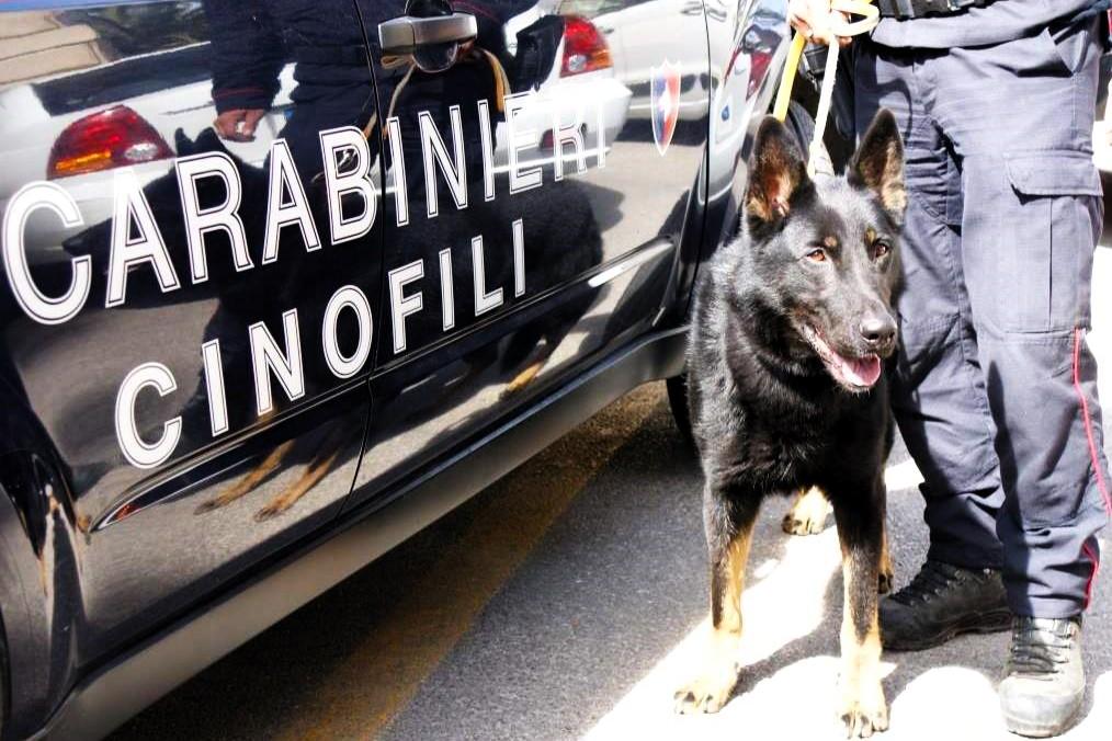 Droga, reperti nuragici in casa e distintivi delle forze dell’ordine: denunciati