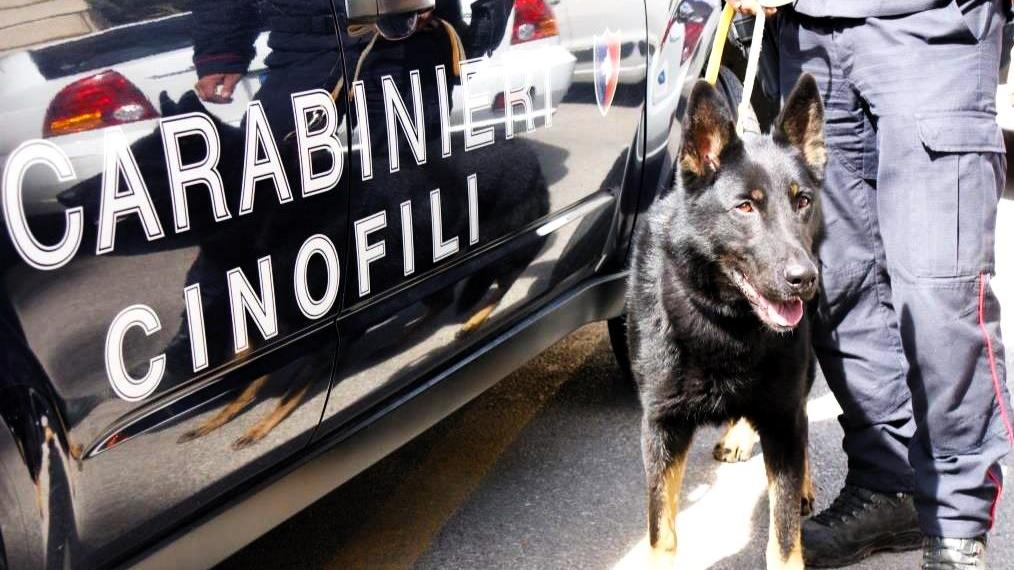 Droga, reperti nuragici in casa e distintivi delle forze dell’ordine: denunciati