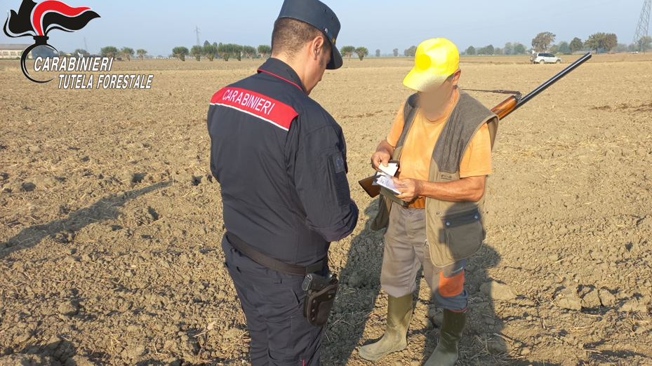 Caccia, maxi controlli dei Carabinieri Forestali: oltre 500 verifiche e sanzioni per violazioni su distanze, appostamenti e annotazioni