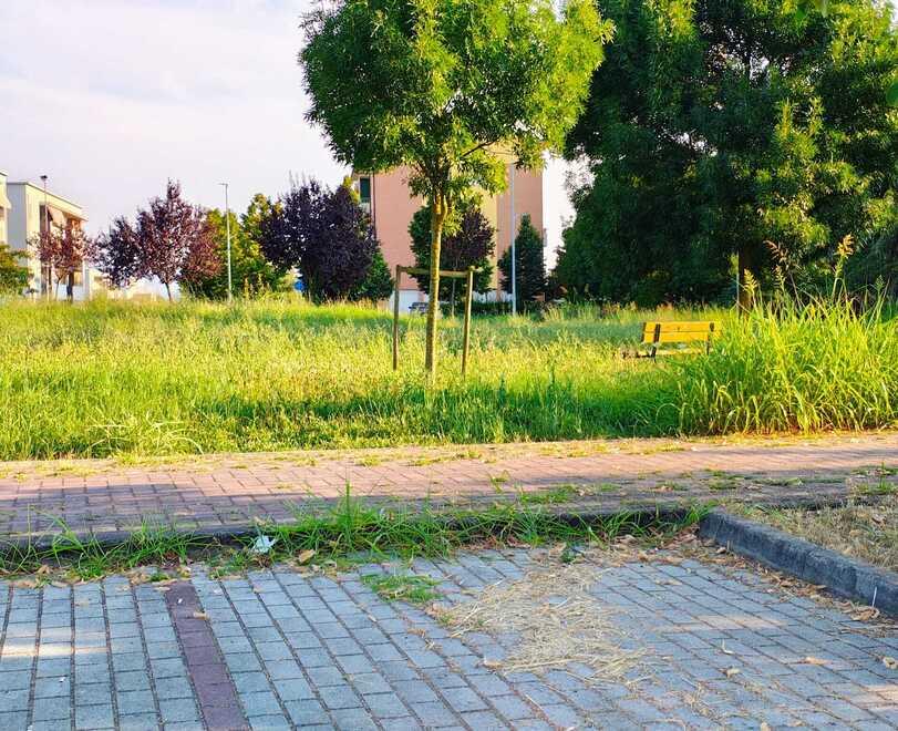 «Cittanova, residenti ascoltati. E a metà marzo un nuovo incontro»