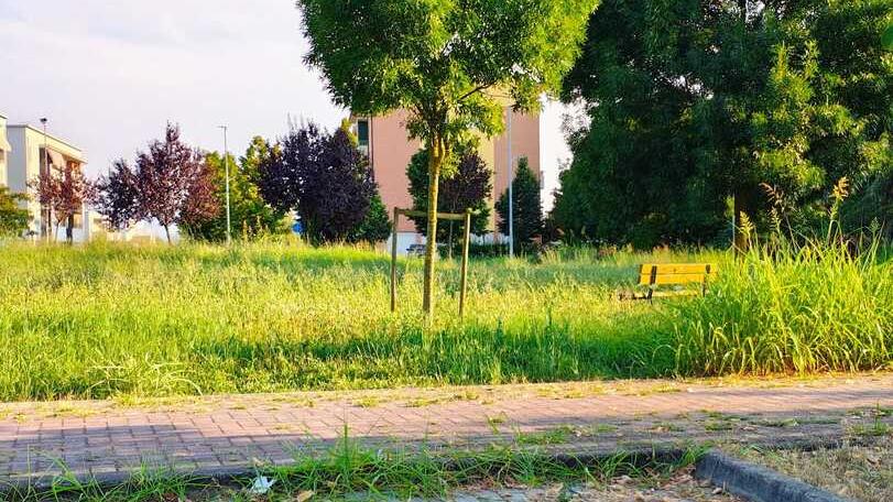 «Cittanova, residenti ascoltati. E a metà marzo un nuovo incontro»