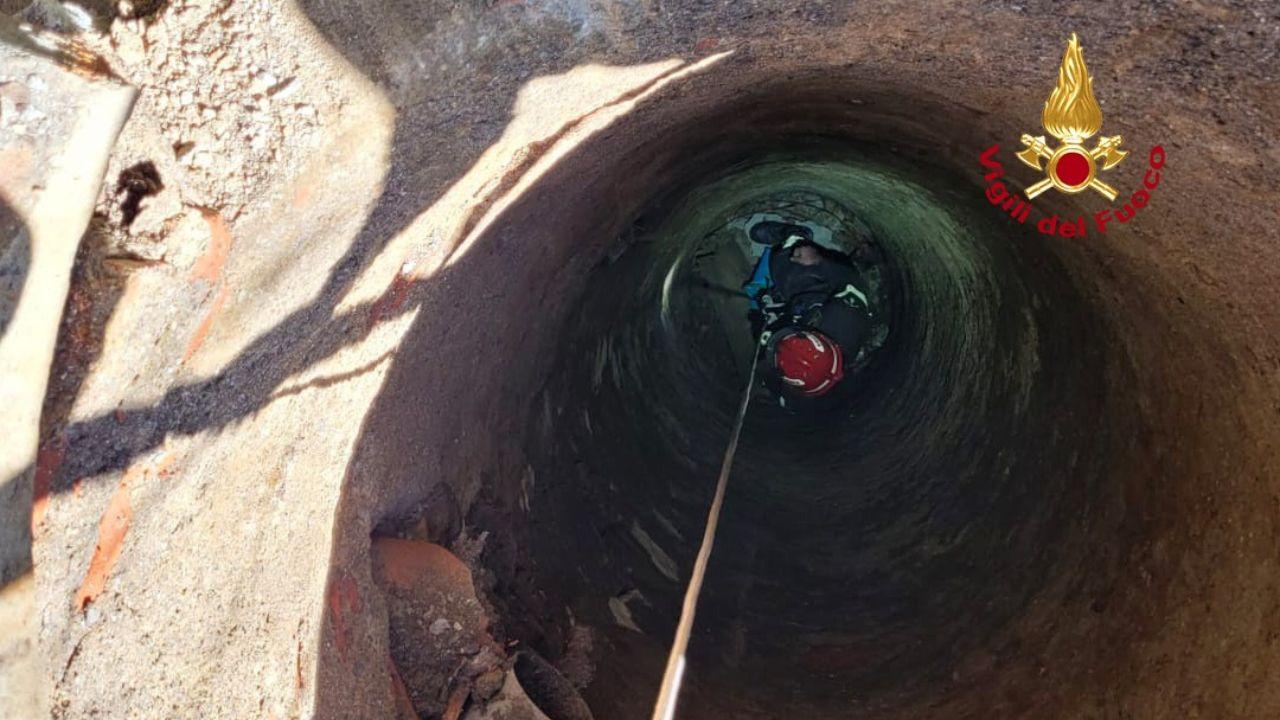 
	Le operazioni di soccorso

