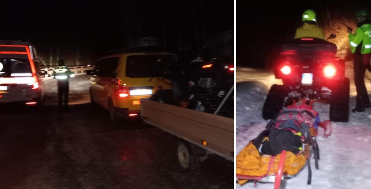 
	Il soccorso al giovane di Carpi

