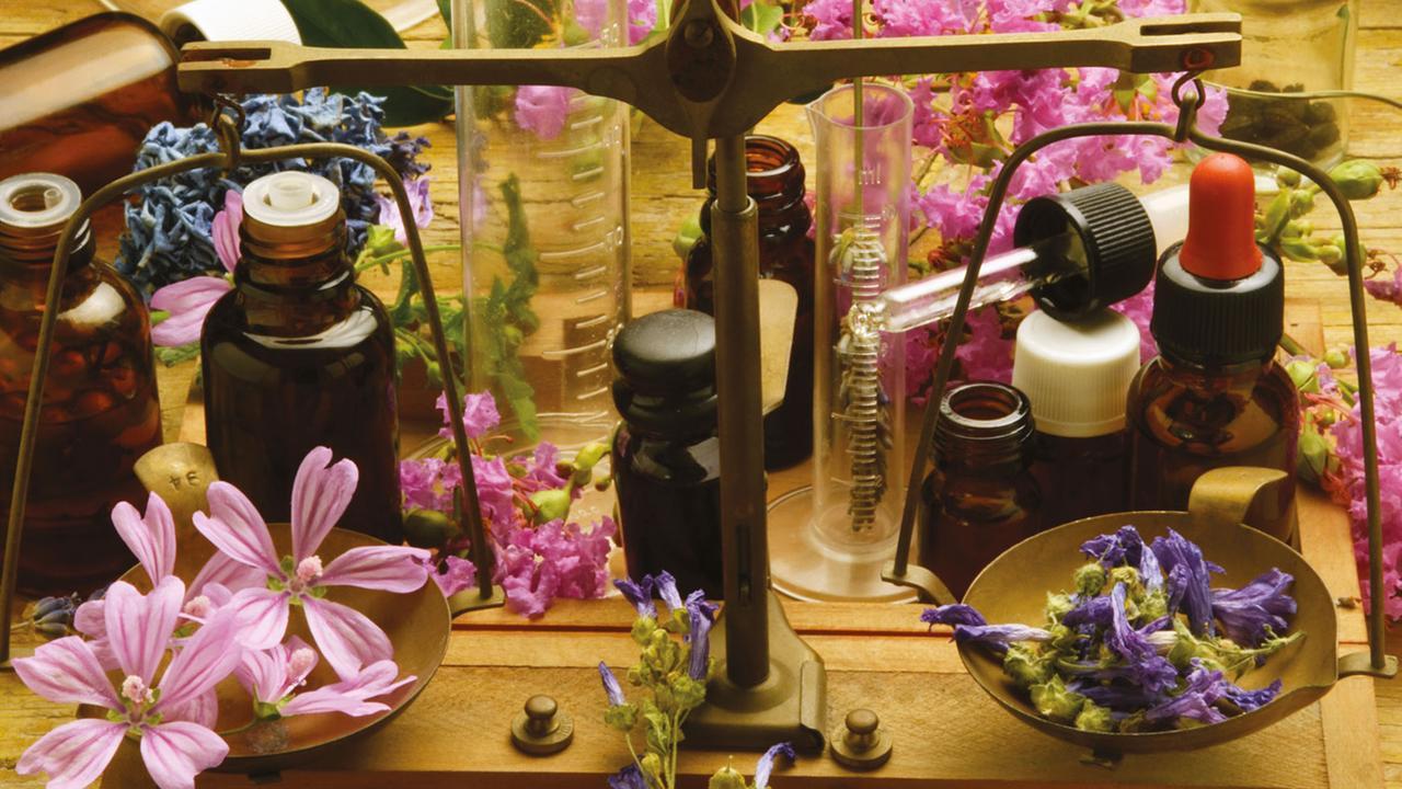 Fiori di Bach, un aiuto naturale per l'equilibrio emotivo: quando fanno bene e come sceglierli