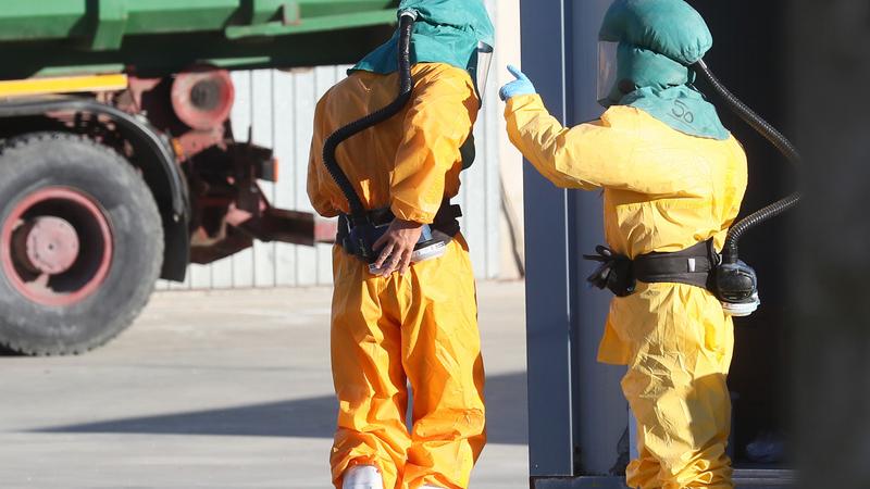 Aviaria a Codigoro, maxi indennizzo per i tacchini abbattuti