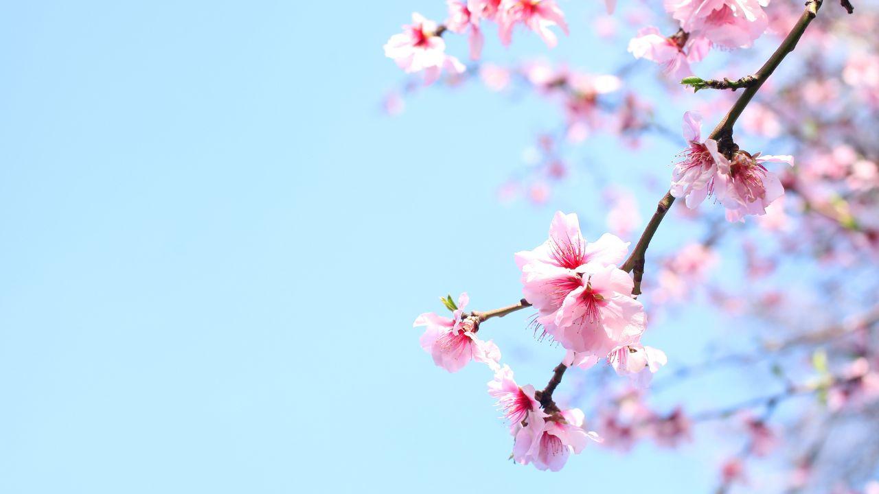 Anticipo di primavera in Toscana