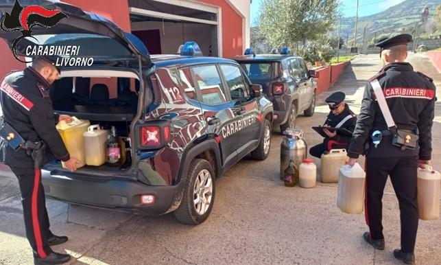 Piombino, furto di olio: due denunciati