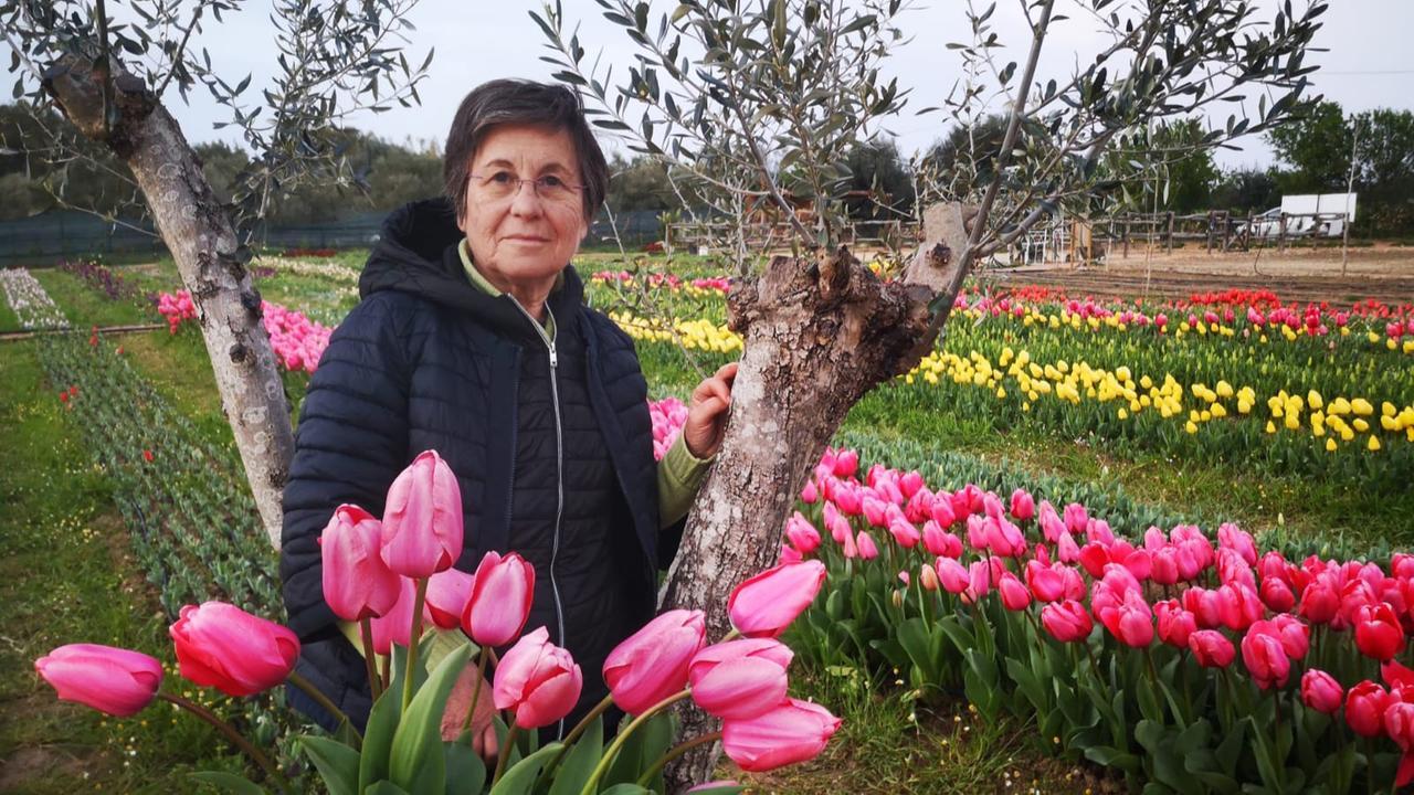 
	Maria Fois Maglione nel giardino di Lu, il campo di tulipani in memoria della figlia Luena

