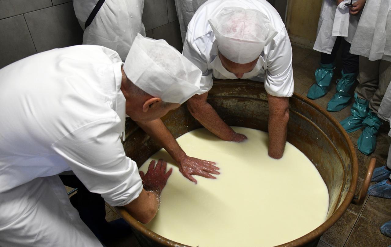 
	La lavorazione del Fiore Sardo formaggio Dop (Denominazione di origine protetta)


