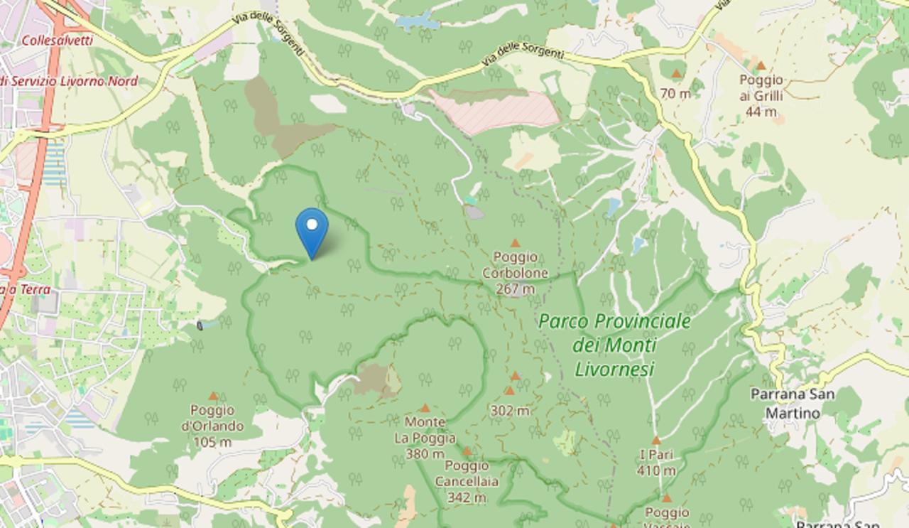 
	Il luogo esatto dove si &egrave; verificata la scossa

