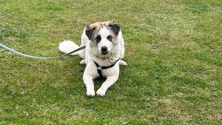 Maya, sette mesi, ha già alle spalle il rifiuto di una famiglia. L’appello: «È gioiosa e vivace, qualcuno la prenda con sé»<br type="_moz" />