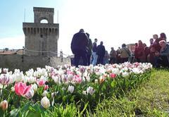 
	I tulipani nei giardini sulle mura del Rivellino (foto Paolo Barlettani 2023)


