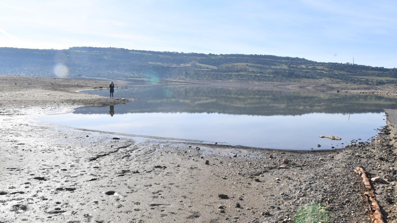 Carciofaie decimate dalla siccità, le aziende chiudono e i giovani vanno via