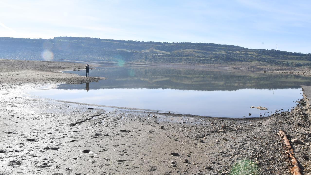 Carciofaie decimate dalla siccità, le aziende chiudono e i giovani vanno via