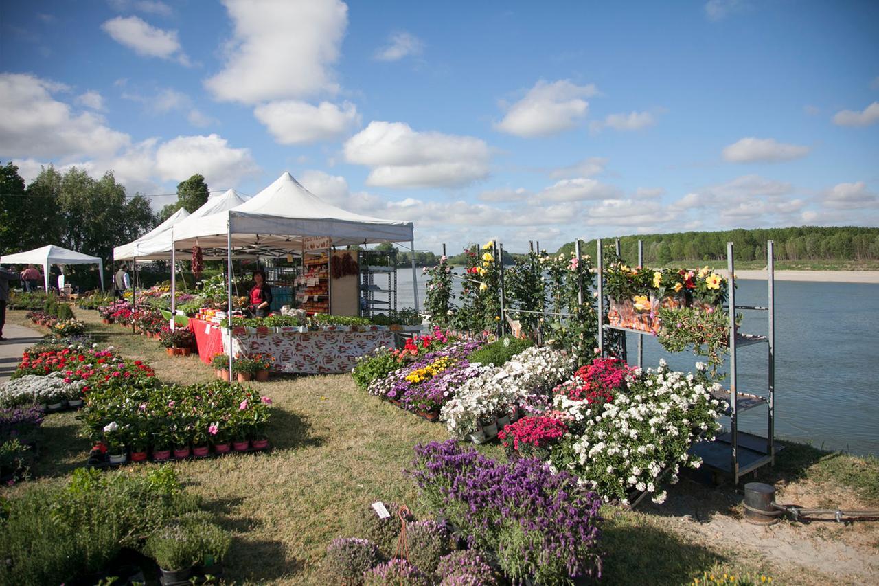 Guastalla: torna Georgica sulle sponde del Po, tra terra, acqua e lavoro nei campi