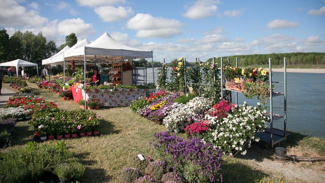 Guastalla: torna Georgica sulle sponde del Po, tra terra, acqua e lavoro nei campi
