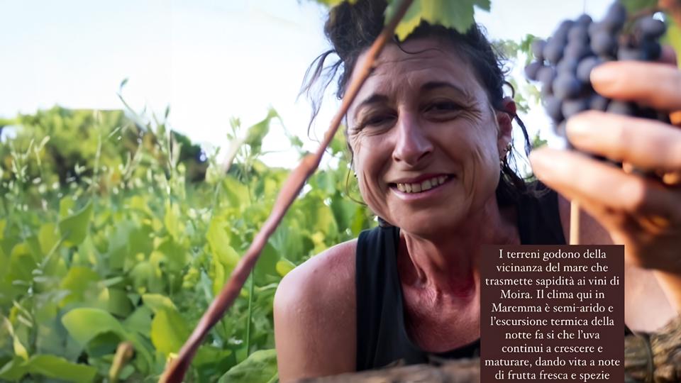 Celestina Fè, i vini con l’etichetta dedicata alla nonna e alle donne