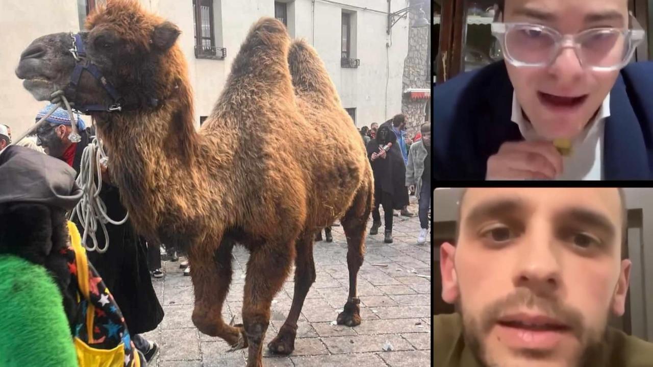 Carnevale con il cammello: scintille social tra l’animalista e l’allevatore di Ovodda