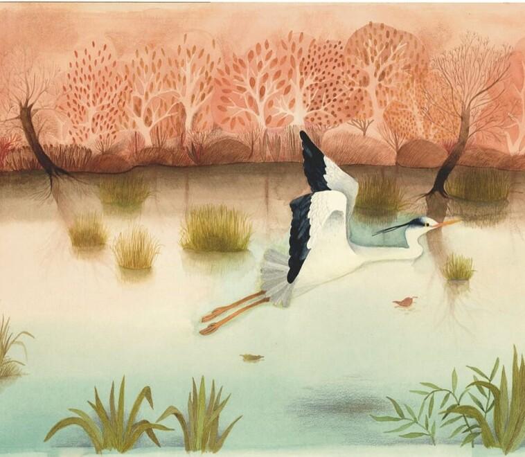 Dal Sol Levante a Reggio e ritorno con le illustrazioni di Maki Hasegawa