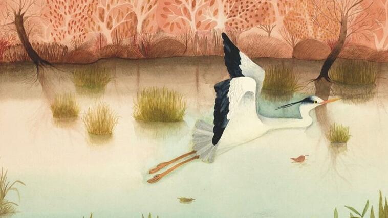 Dal Sol Levante a Reggio e ritorno con le illustrazioni di Maki Hasegawa