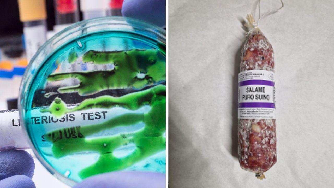 
	Il salamino ritirato

