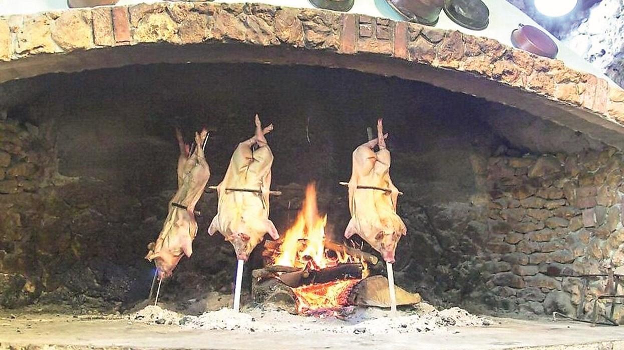 Porcetto Igp entro Natale 2025: serve l’ok di Regione e Governo