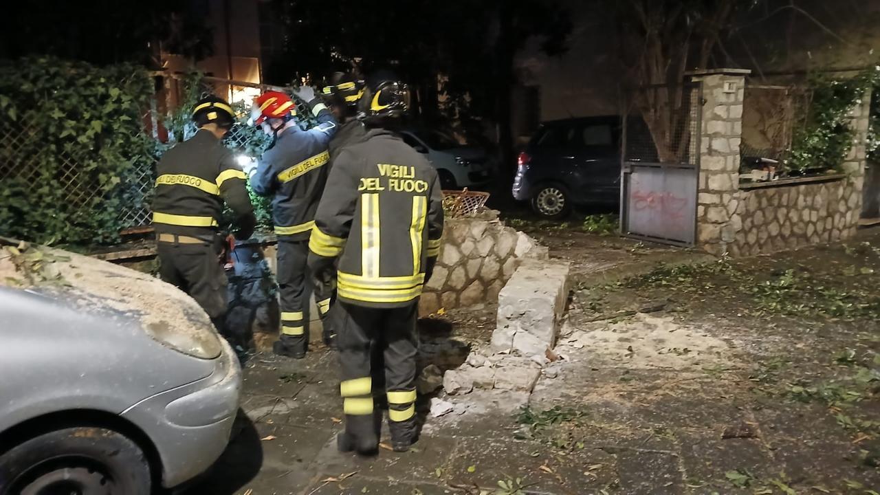Grosseto: cade albero in pieno centro, cancello distrutto