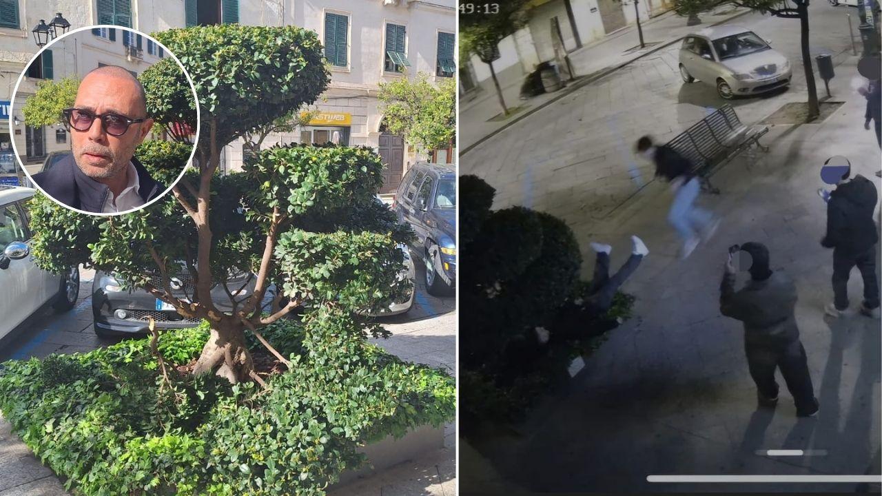 Sassari, ragazzi distruggono un ficus in via Roma e si riprendono col cellulare – VIDEO