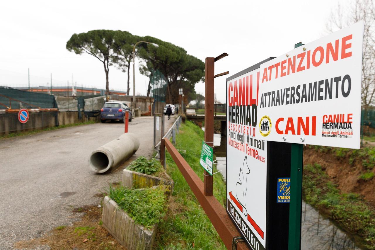 Montecatini, si allarga il canile Hermada con altri 25 box ma per i gatti