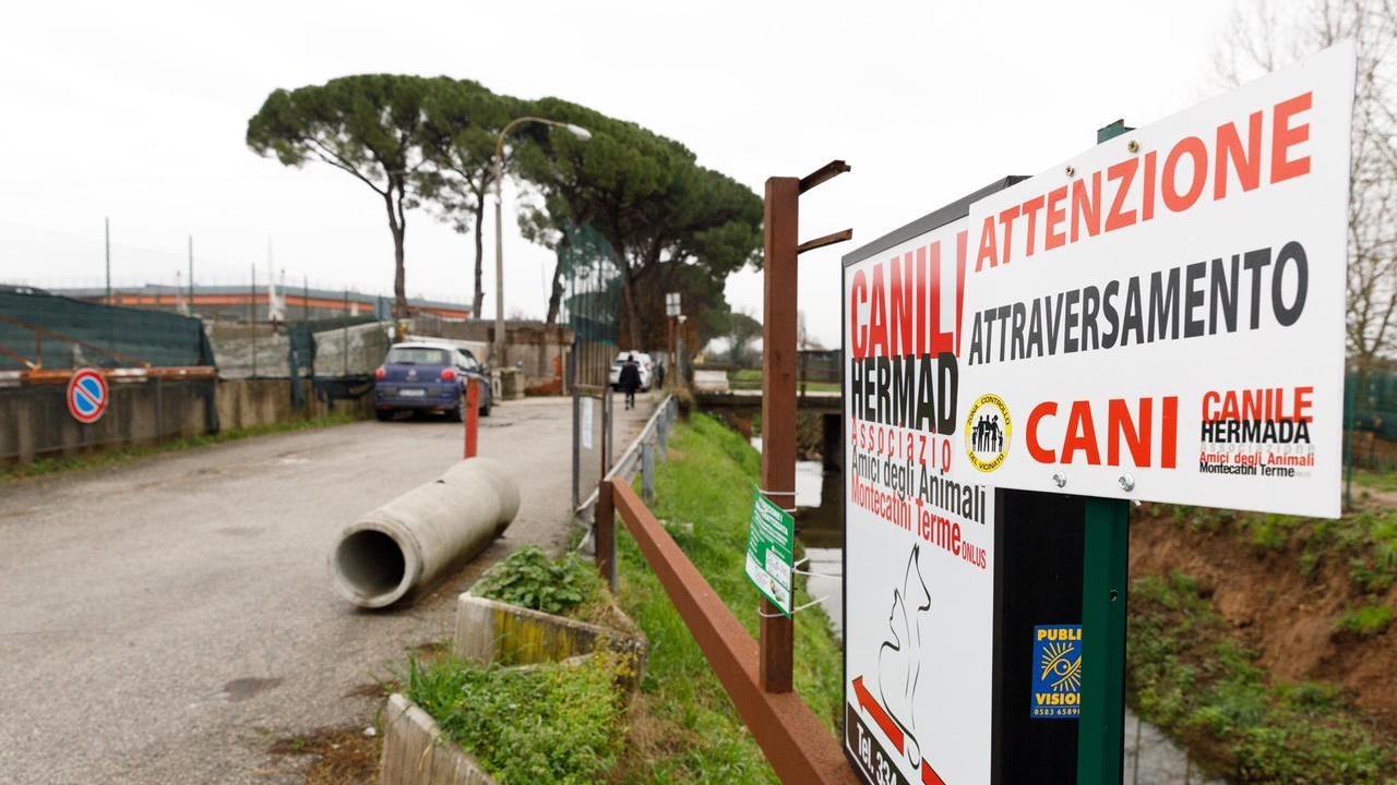Montecatini, si allarga il canile Hermada con altri 25 box ma per i gatti