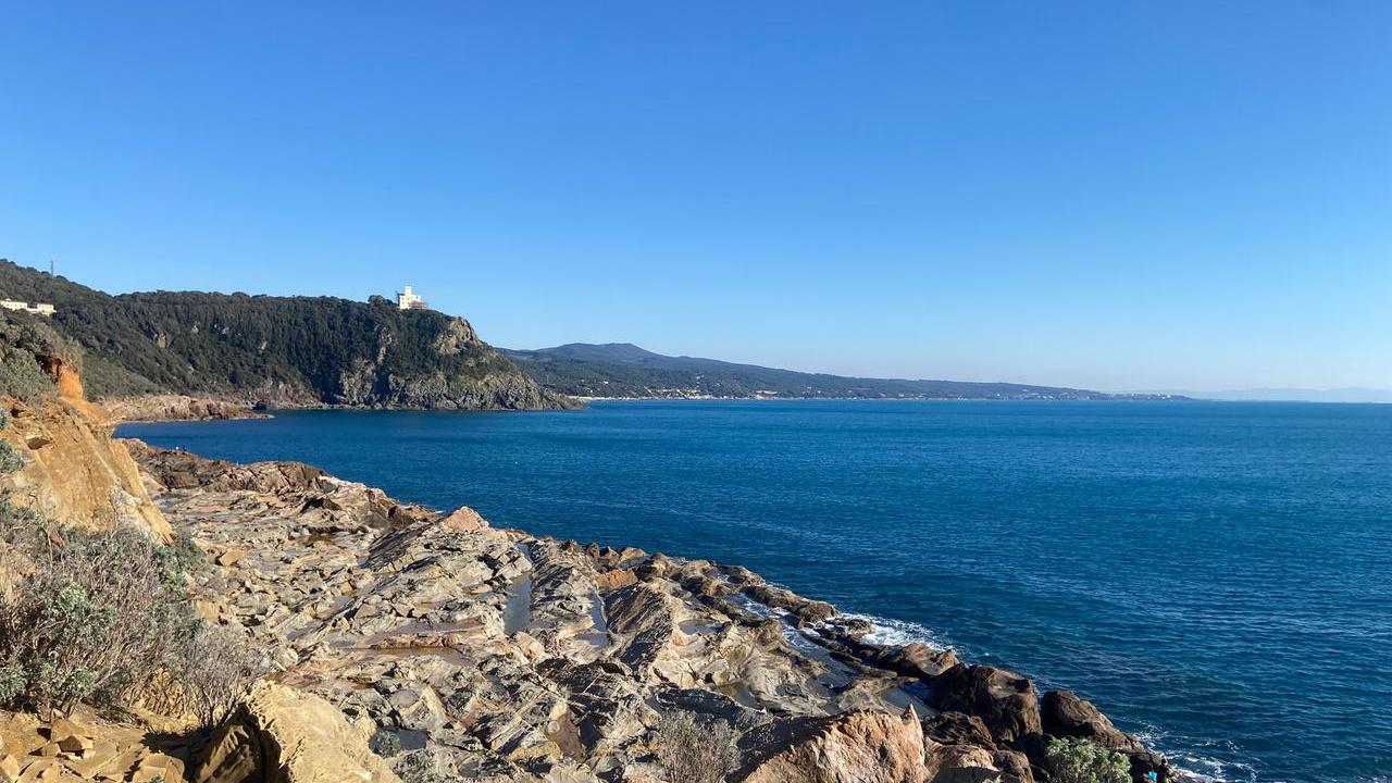 Il colore del mare. Cartoline da Livorno: grazie a Roberto Guarguaglini