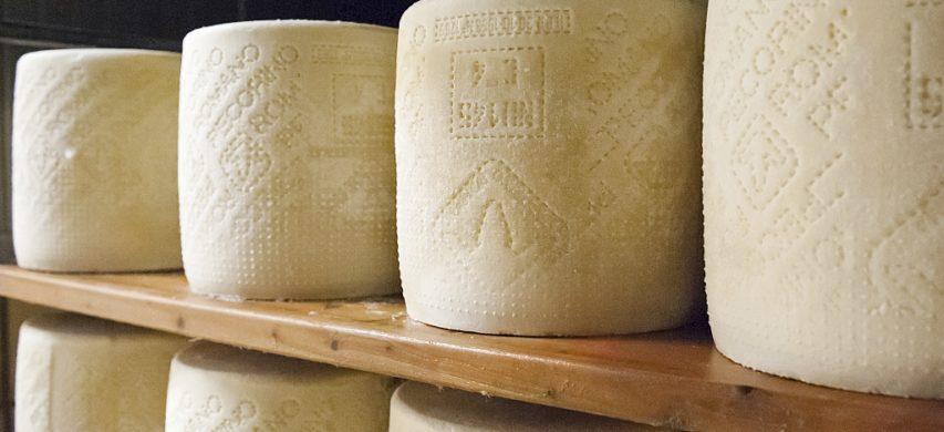 Forme di Pecorino romano Dop 
