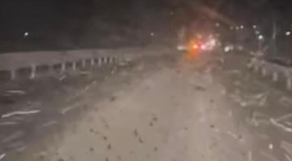 Orbetello invasa dai moscerini, i cittadini chiedono lo stato d'emergenza: «Sul ponte rischiamo la vita»