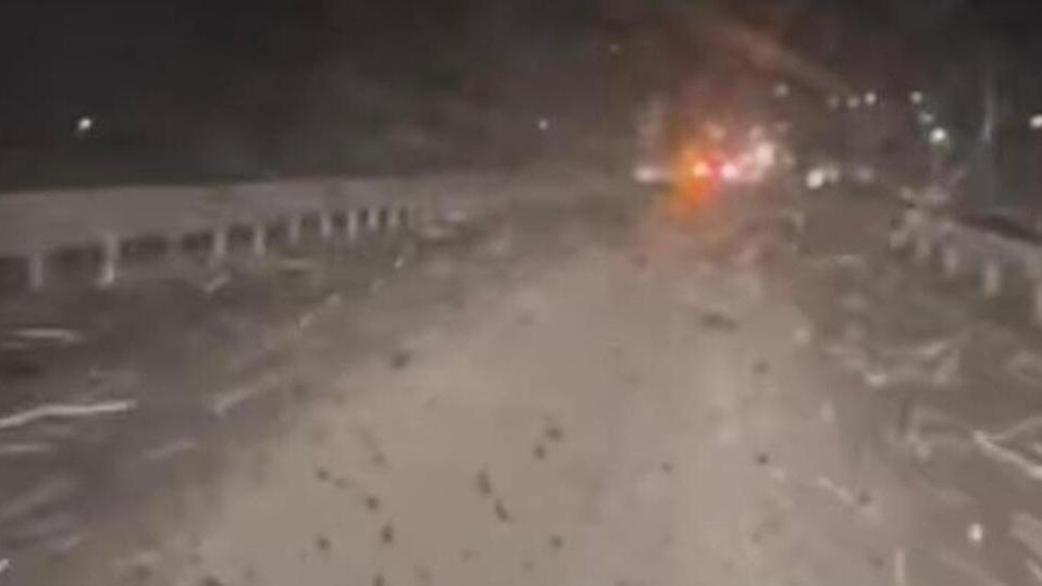 Orbetello invasa dai moscerini, i cittadini chiedono lo stato d'emergenza: «Sul ponte rischiamo la vita»