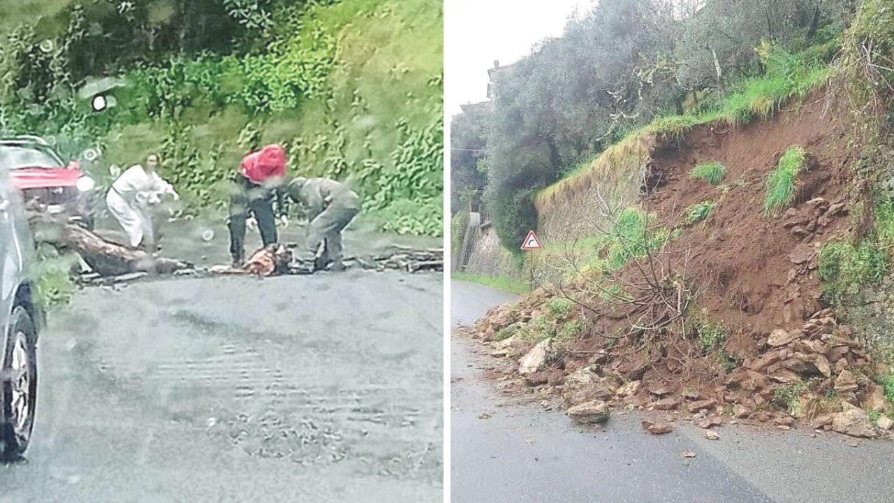 
	A sx&nbsp;l&rsquo;albero crollato in via dei Colli tra le auto, a dx una delle frane ad Antona

