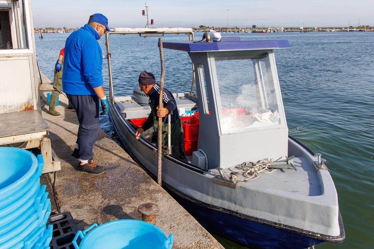 Comacchio, il fermo pesca scatta il 30 marzo