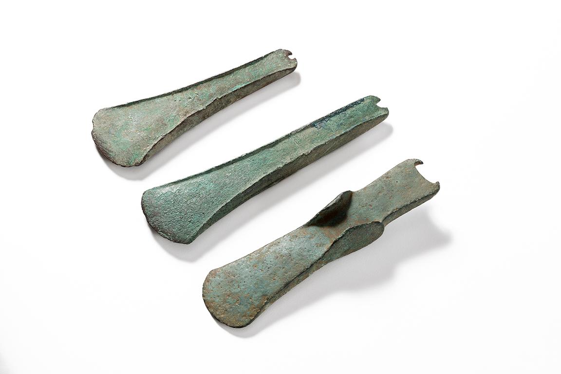 
	Le tre asce in bronzo consegnate al Museo Civico di Modea (Foto Paolo Terzi)

