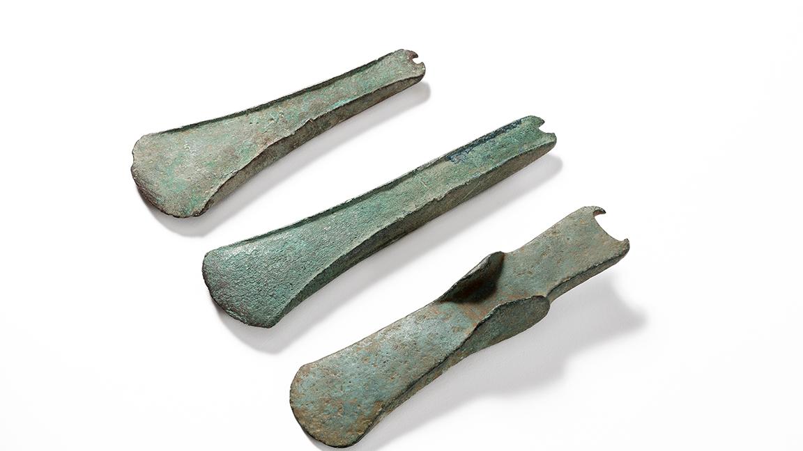 Le tre asce in bronzo consegnate al Museo Civico di Modea (Foto Paolo Terzi)